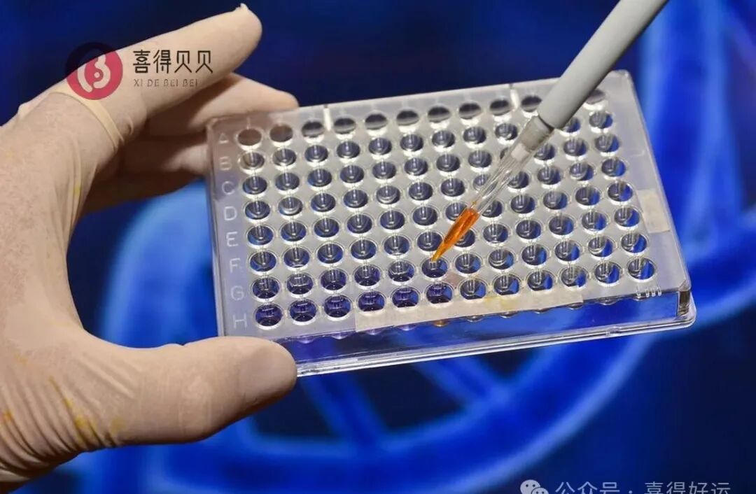 喜得贝贝：用头发做亲子鉴定需要几根？亲子鉴定的头发拔下来可以放多久