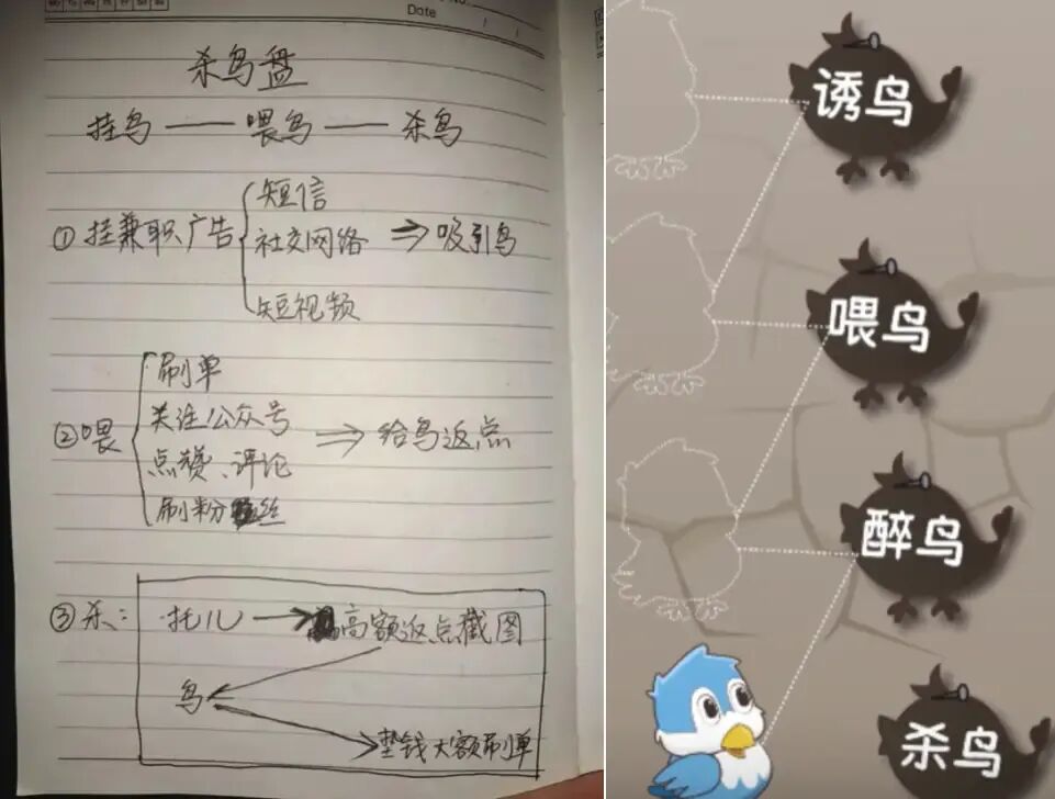 专坑宝妈的“杀鸟盘”，到底有多恐怖？| 半城视野(图9)