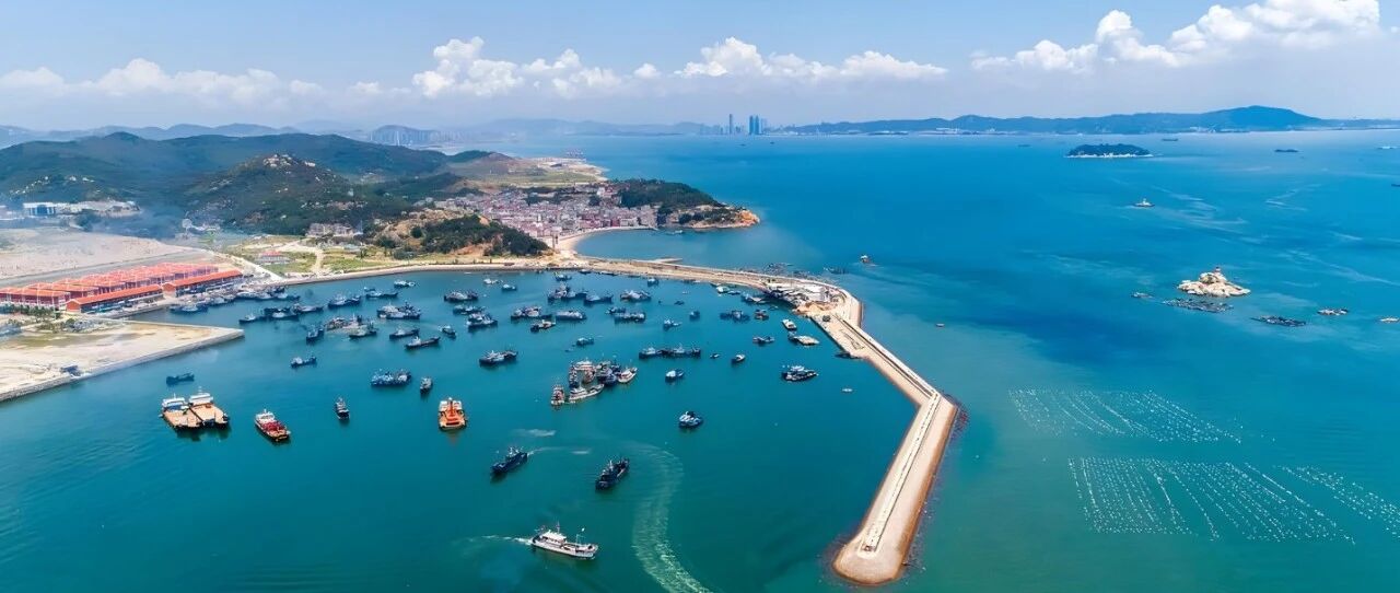 2026年浙江省舟山市普陀区医共体牵头单位普陀医院公开招聘13人公告