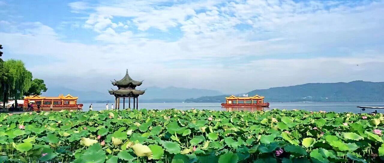 中国农业科学院茶叶研究所2026年面向全球引进高层次人才公告