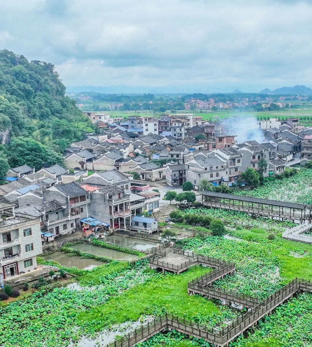 江华县竹园寨村江华县沱江镇竹园寨村的数百亩荷花开了,在碧绿荷叶的