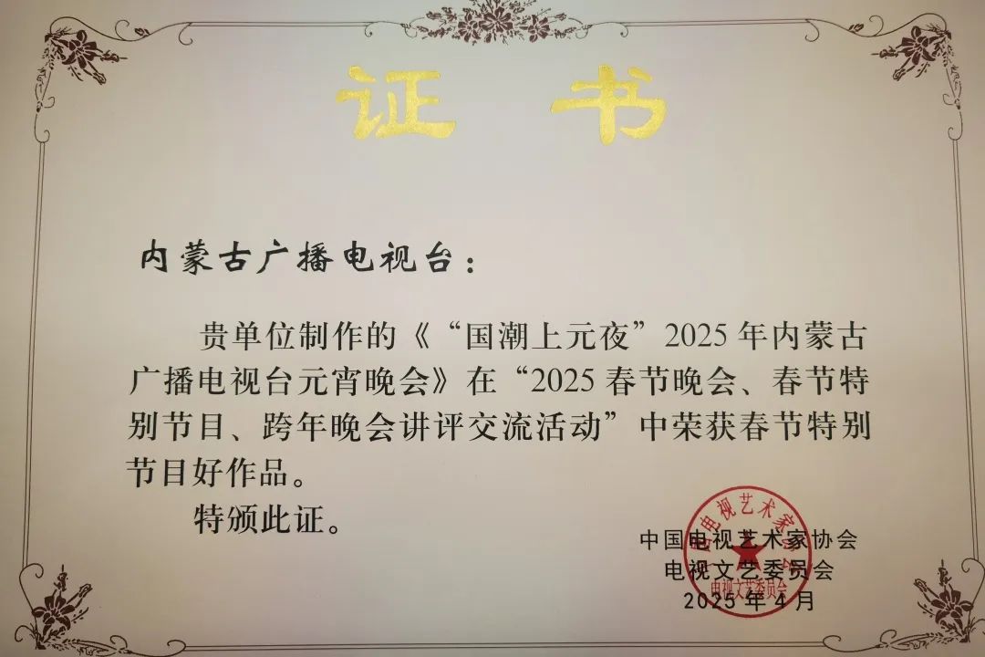 喜报·2025春节晚会 春节特别节目 跨年晚会讲评交流活动评奖揭晓 内蒙古自治区共12部作品获奖 第5张