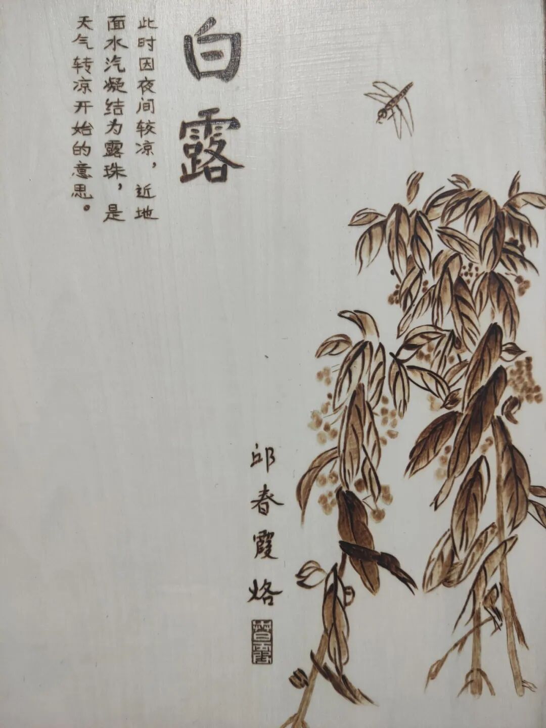 今日白露：露凝草木，秋意渐浓 第6张