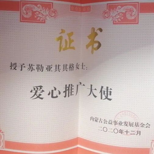 文艺名家风采 | 苏勒亚其其格：草原深处的百灵鸟 第29张