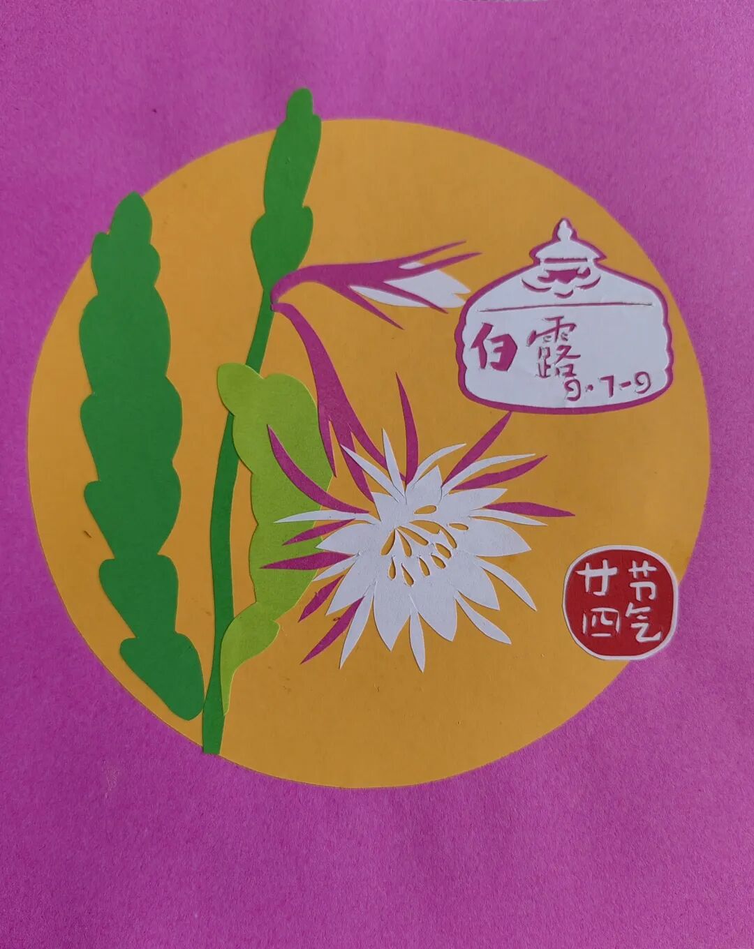 今日白露：露凝草木，秋意渐浓 第7张