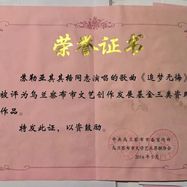 文艺名家风采 | 苏勒亚其其格：草原深处的百灵鸟 第40张