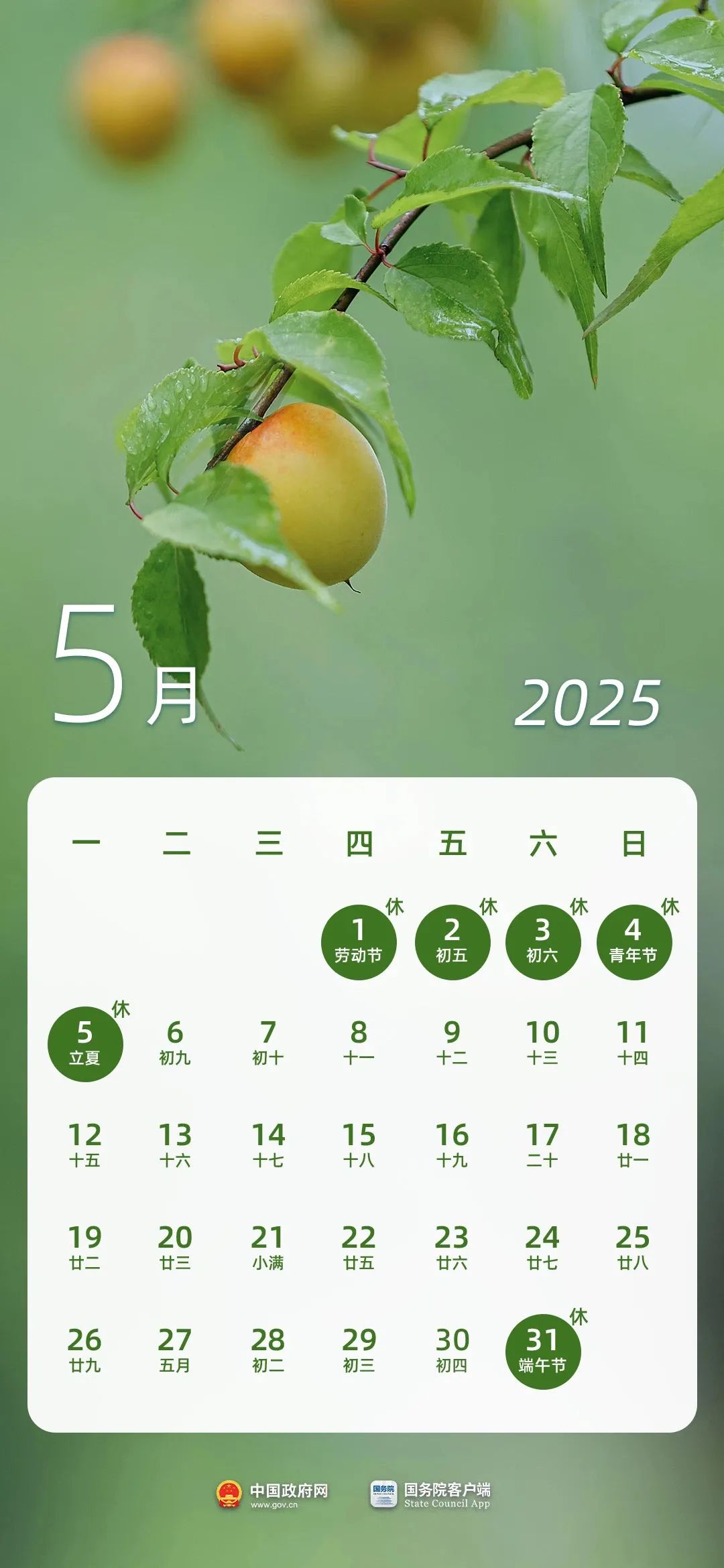 春节8天，劳动节5天！2025年法定节假日安排来了 第5张