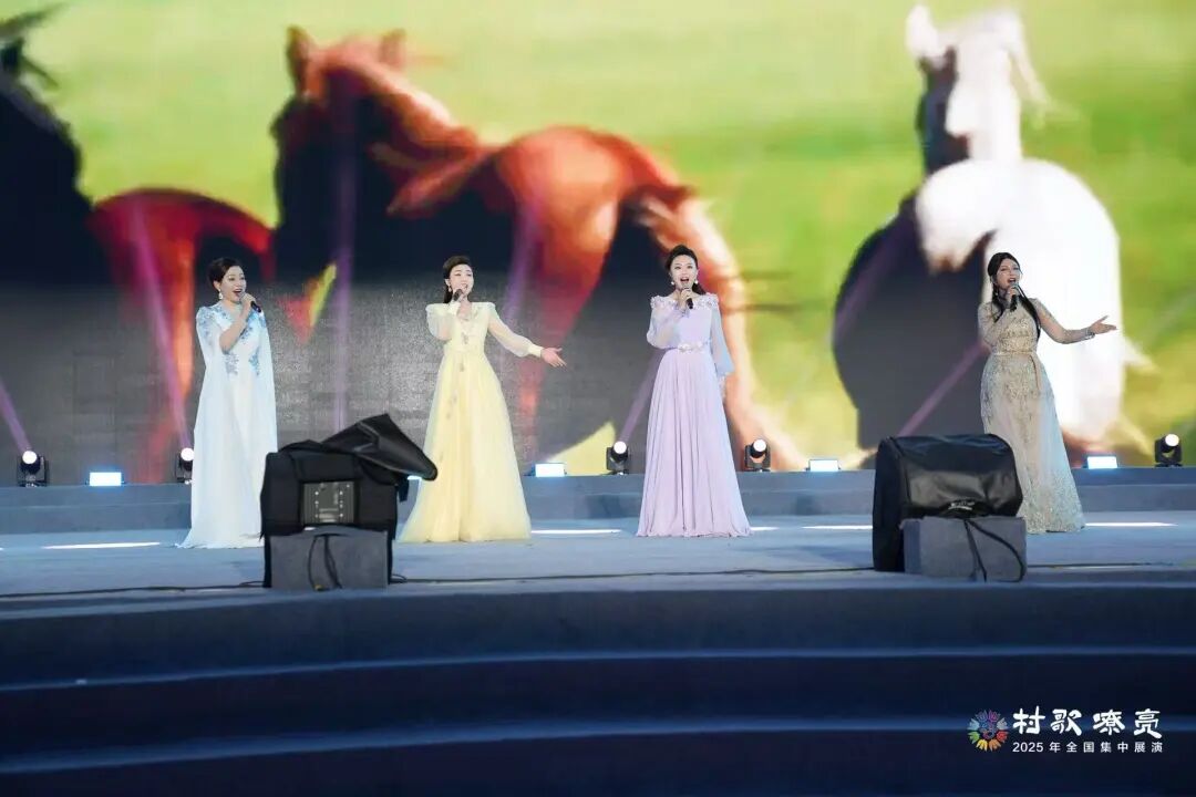 图集 | 2025年“村歌嘹亮”全国集中展演开幕式暨第一场展演 第4张