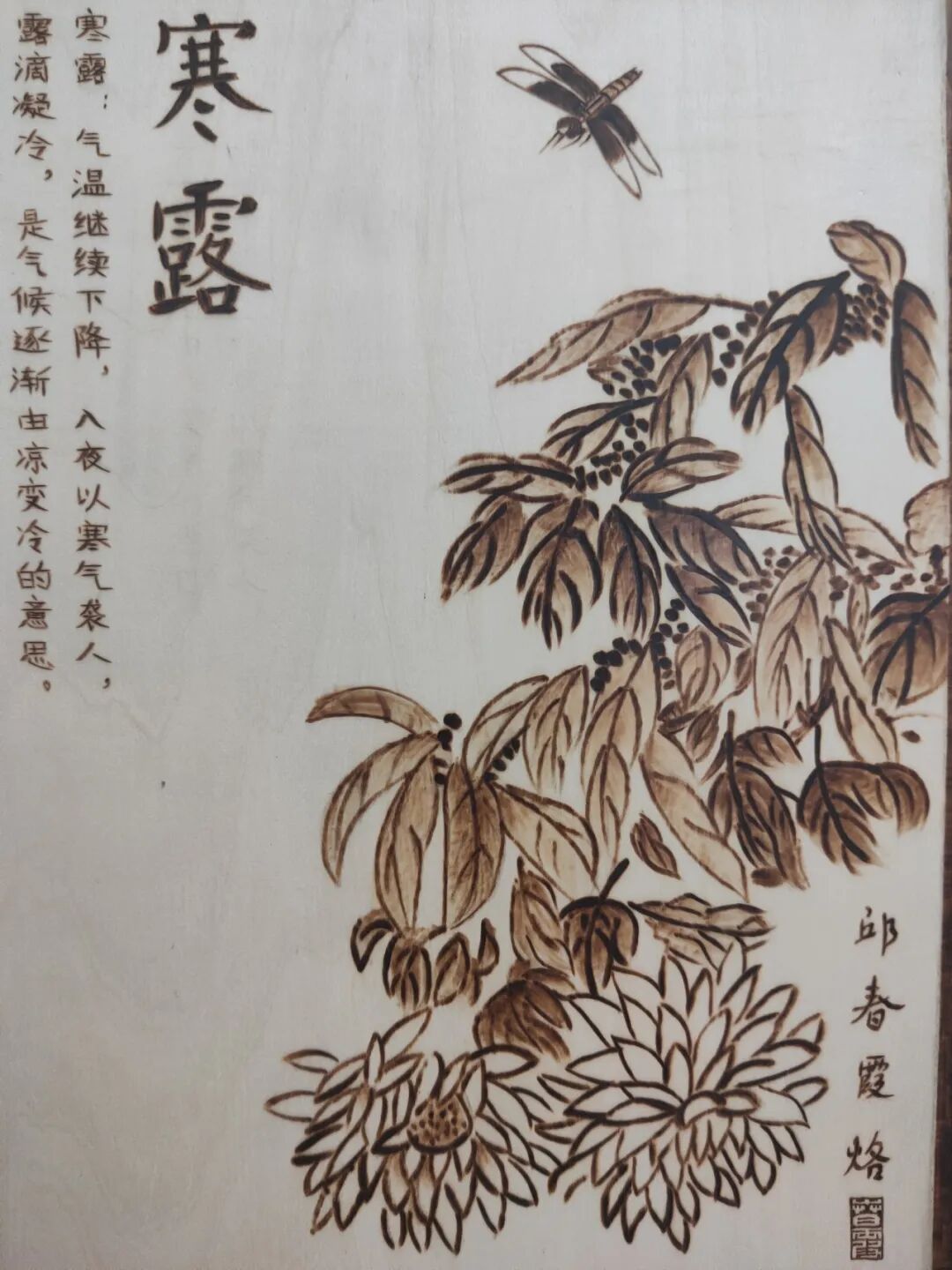 今日寒露：寒生露凝，秋意深浓 第5张