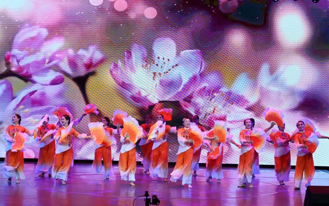 【强基工程】“我从延安来”内蒙古文联国际志愿者日专场演出成功举办 第4张