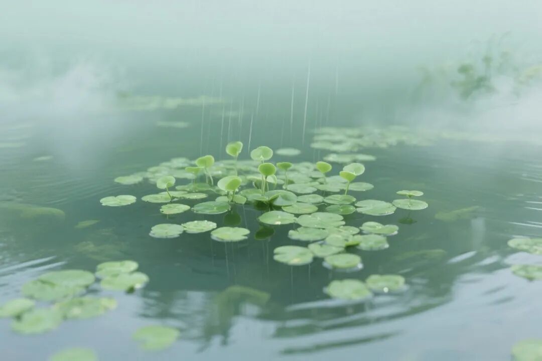 今日谷雨：雨生百谷 万物成诗 第3张