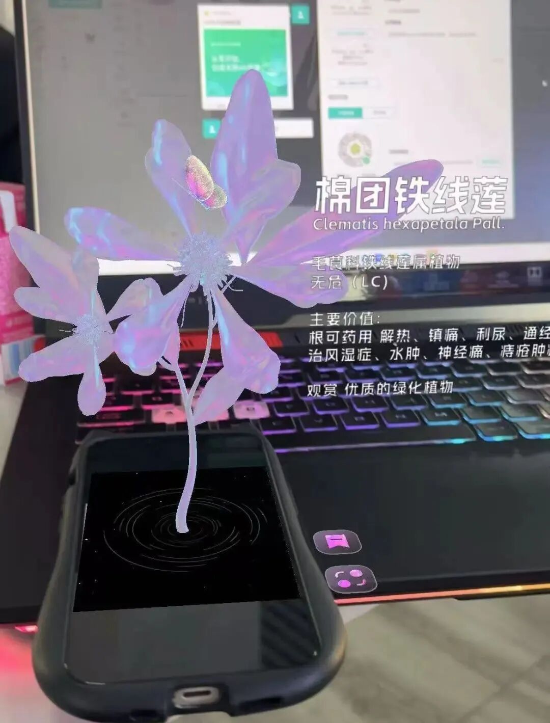 展讯 | “赓续文脉 创新发展” 呼伦贝尔大草原文化作品展——暨内蒙古艺术学院新媒体学院2025届毕业生作品展 第13张