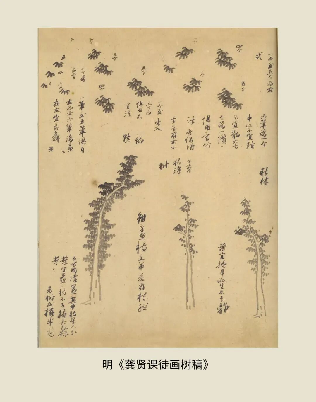 展讯丨循脉——中国画教育“课徒稿”文献展：内蒙古站（国家艺术基金2025年度传播交流推广资助项目） 第19张