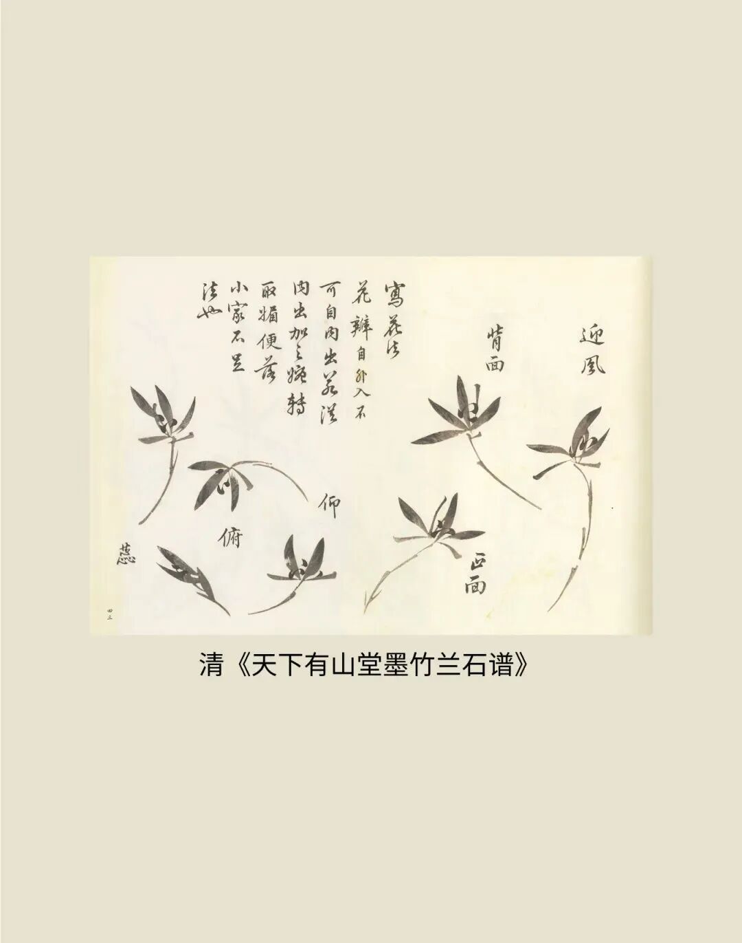 展讯丨循脉——中国画教育“课徒稿”文献展：内蒙古站（国家艺术基金2025年度传播交流推广资助项目） 第27张