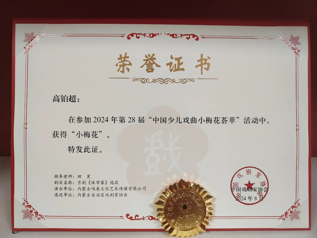 童心织就文艺绮梦 | 内蒙古小小文艺家风采展示 第31张