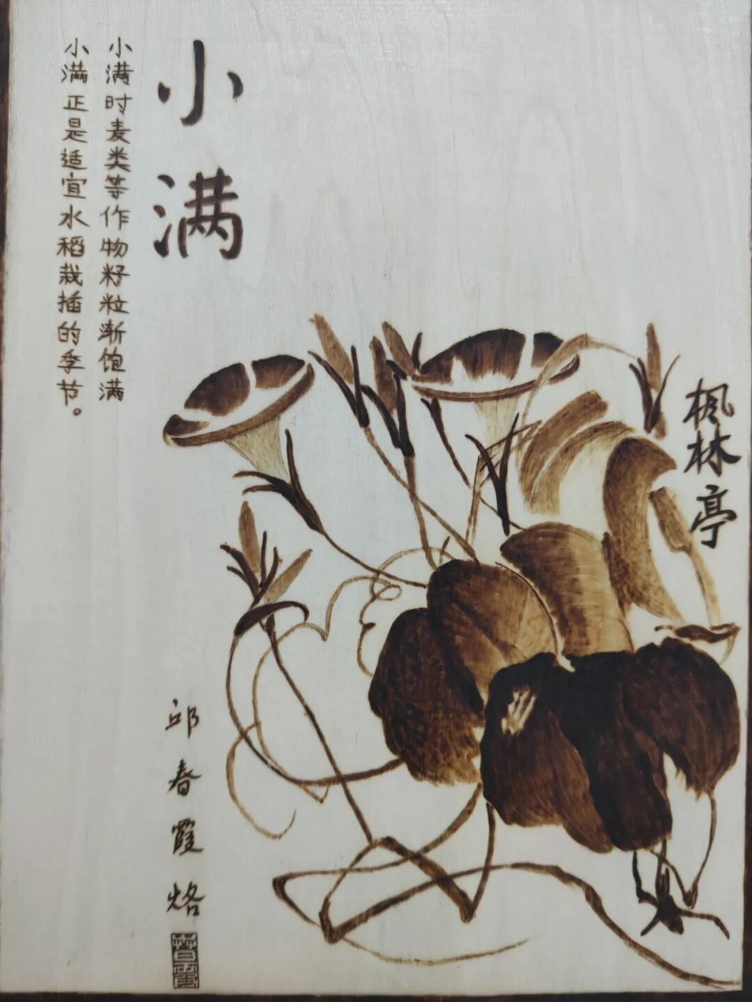 今日小满：夏意初盈，人生恰满 第1张