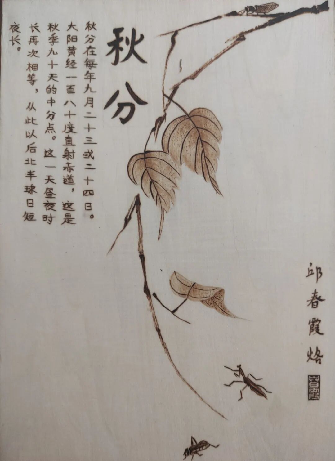 今日秋分：寒蝉低语，万物惊秋 第7张