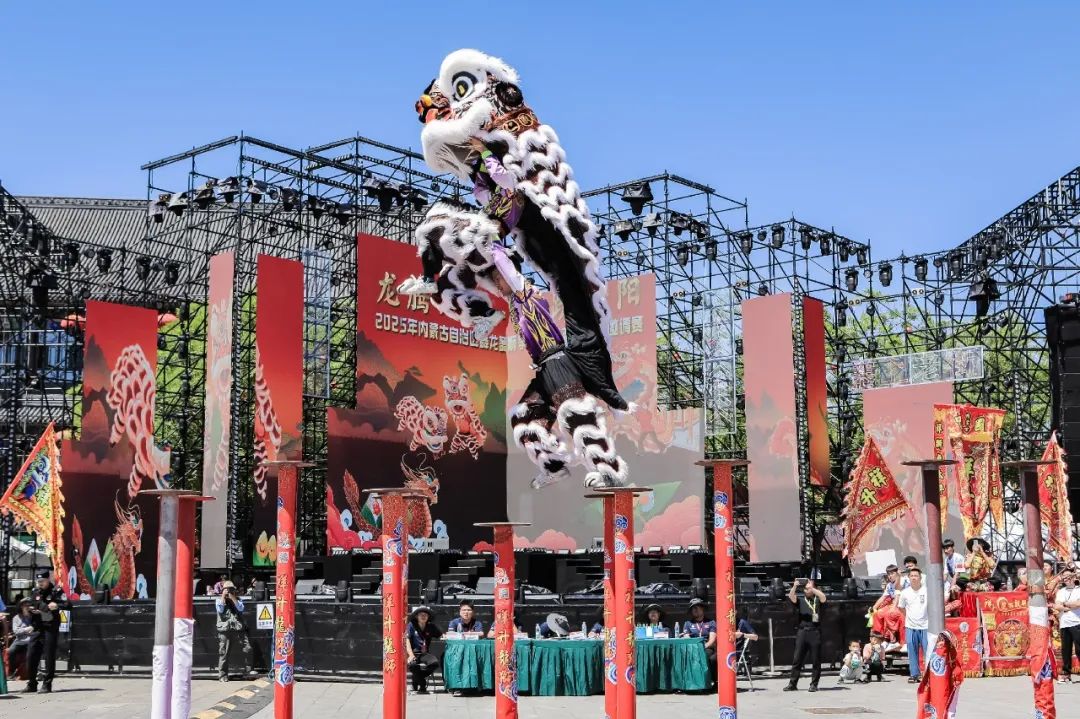 300名龙狮健儿决战青城！内蒙古首届舞龙舞狮争霸赛震撼启幕 第9张