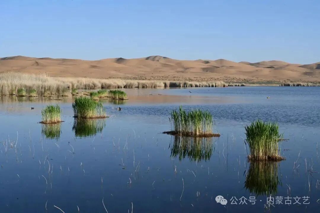 北师大硕士在内蒙古沙漠种地！他的故事登上《人民文学》 第12张