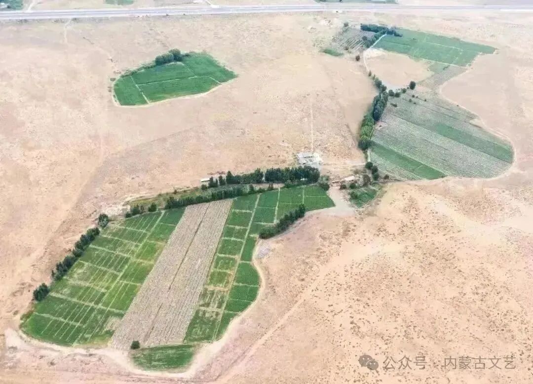 北师大硕士在内蒙古沙漠种地！他的故事登上《人民文学》 第9张