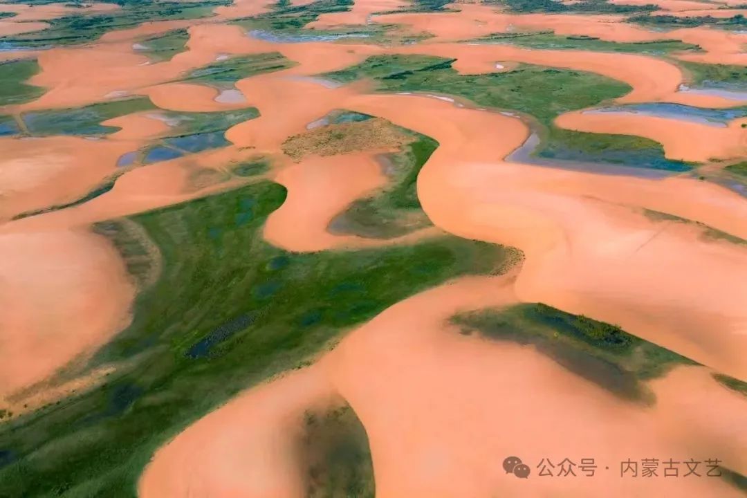 乐荐·NEW | 用三部曲诉说北疆儿女对党的深情 第7张