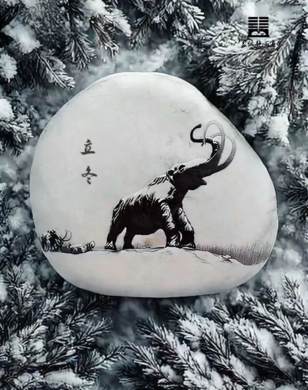 今日立冬：冬日之始 万物伏藏 第19张