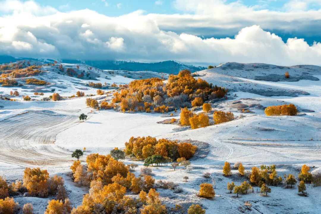 今日立冬：冬日之始 万物伏藏 第26张