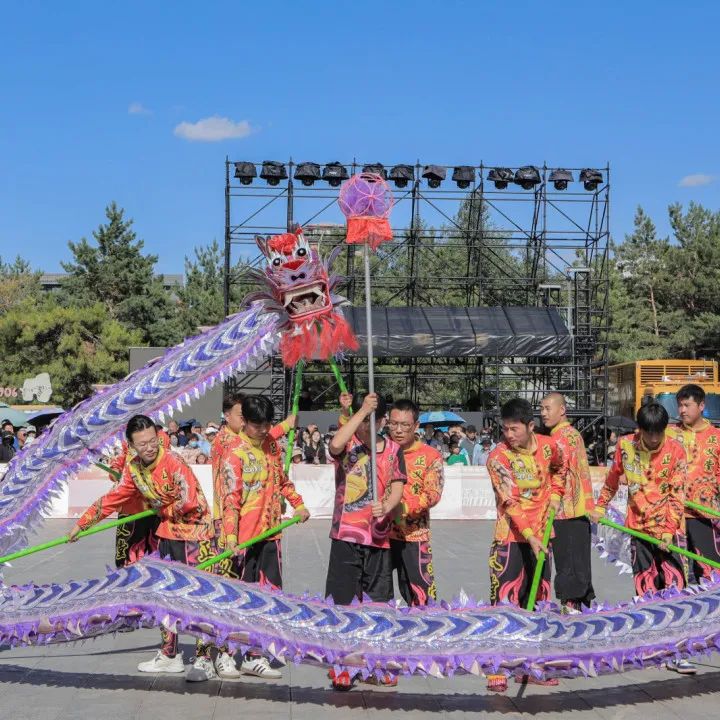 “龙腾北疆·狮跃端阳”2025内蒙古舞龙舞狮争霸赛圆满落幕 第25张