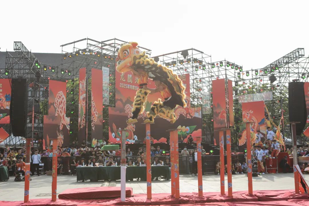 “龙腾北疆·狮跃端阳”2025内蒙古舞龙舞狮争霸赛圆满落幕 第20张