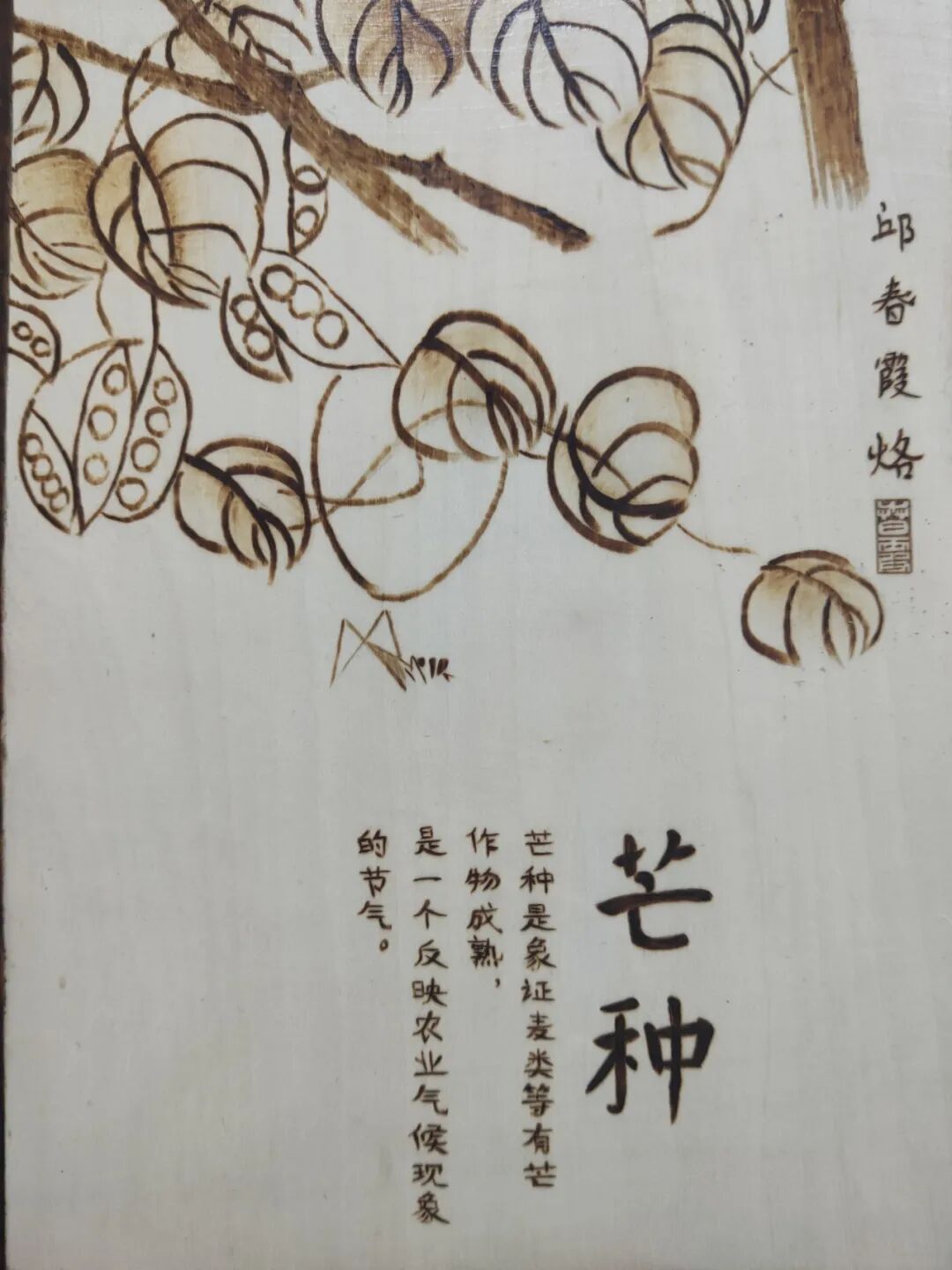 今日芒种：连雨不知春去，一晴方觉夏深 第13张
