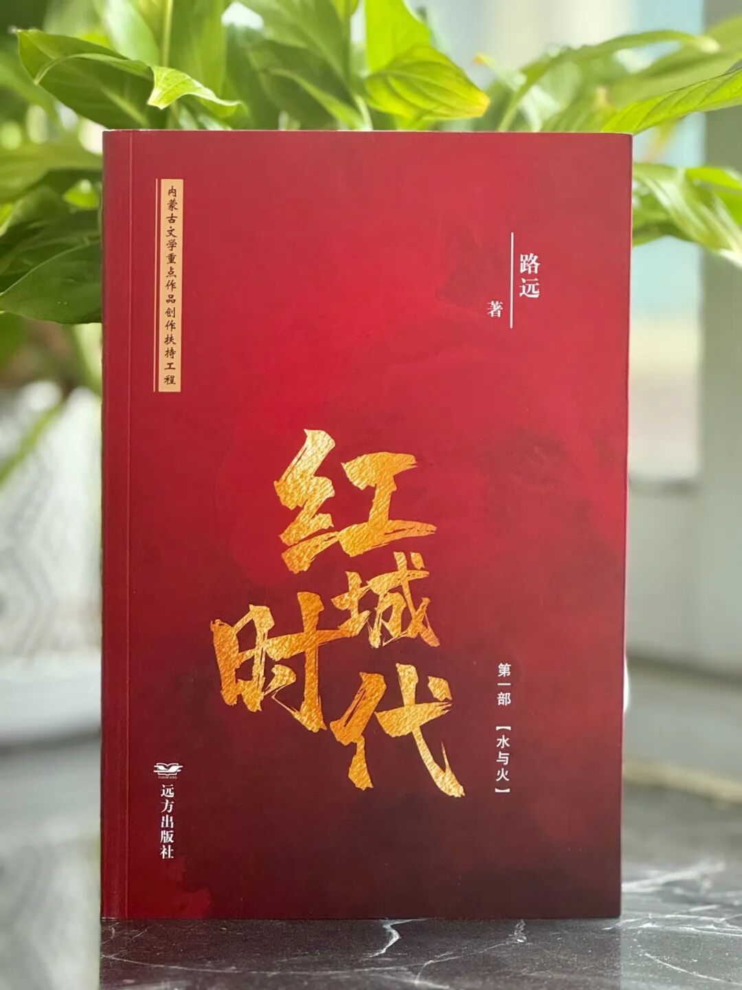 “五个一工程”优秀作品推介 | 图书《红城时代》 第5张
