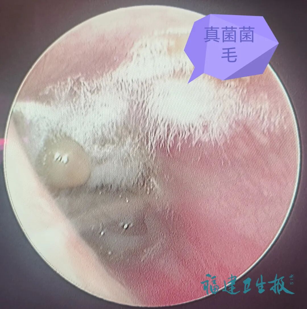 GetAttachment (4).jpg