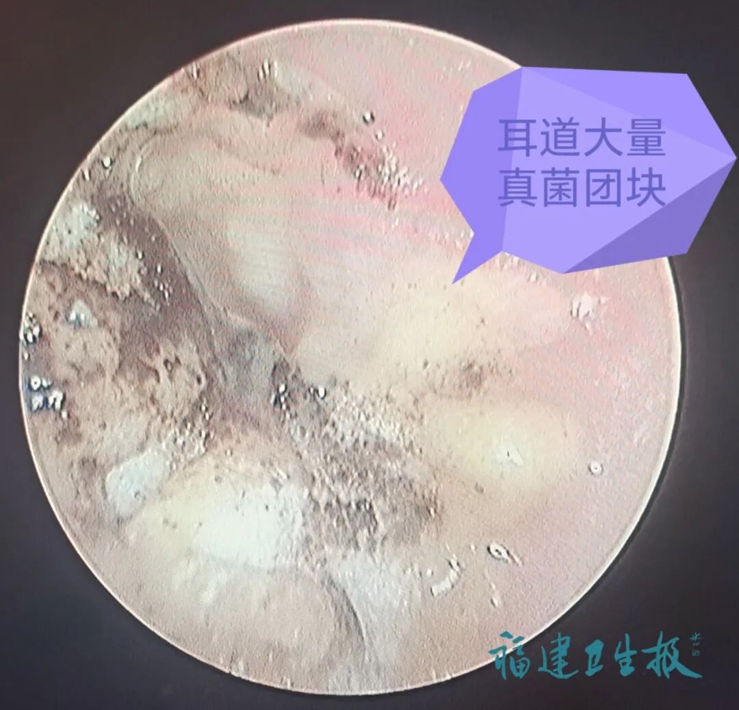 GetAttachment (3).jpg