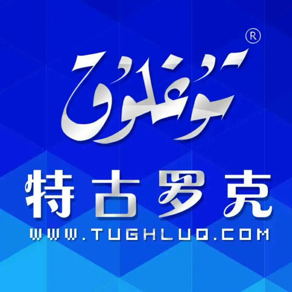 新疆特古罗克网络科技有限公司