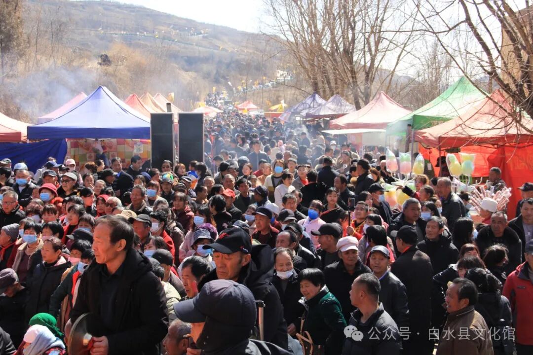 甲辰千年杜康古庙会暨文化艺术节在白水县杜康镇杜康沟举行