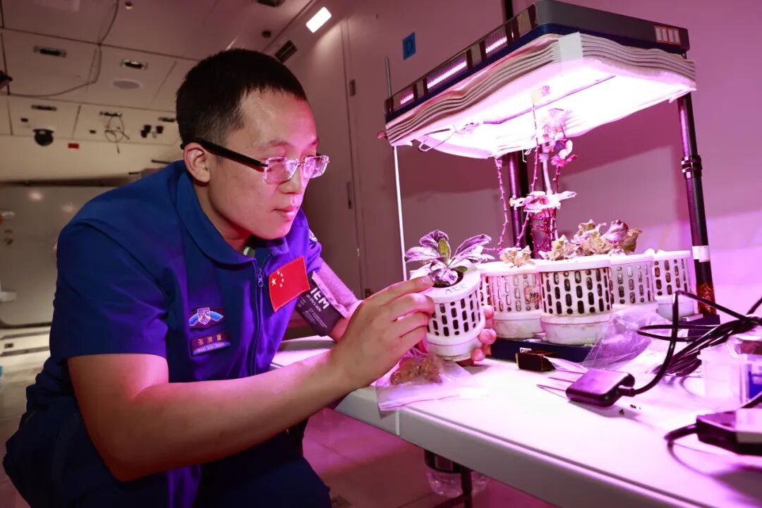 航天员张洪章在进行植物培养训练