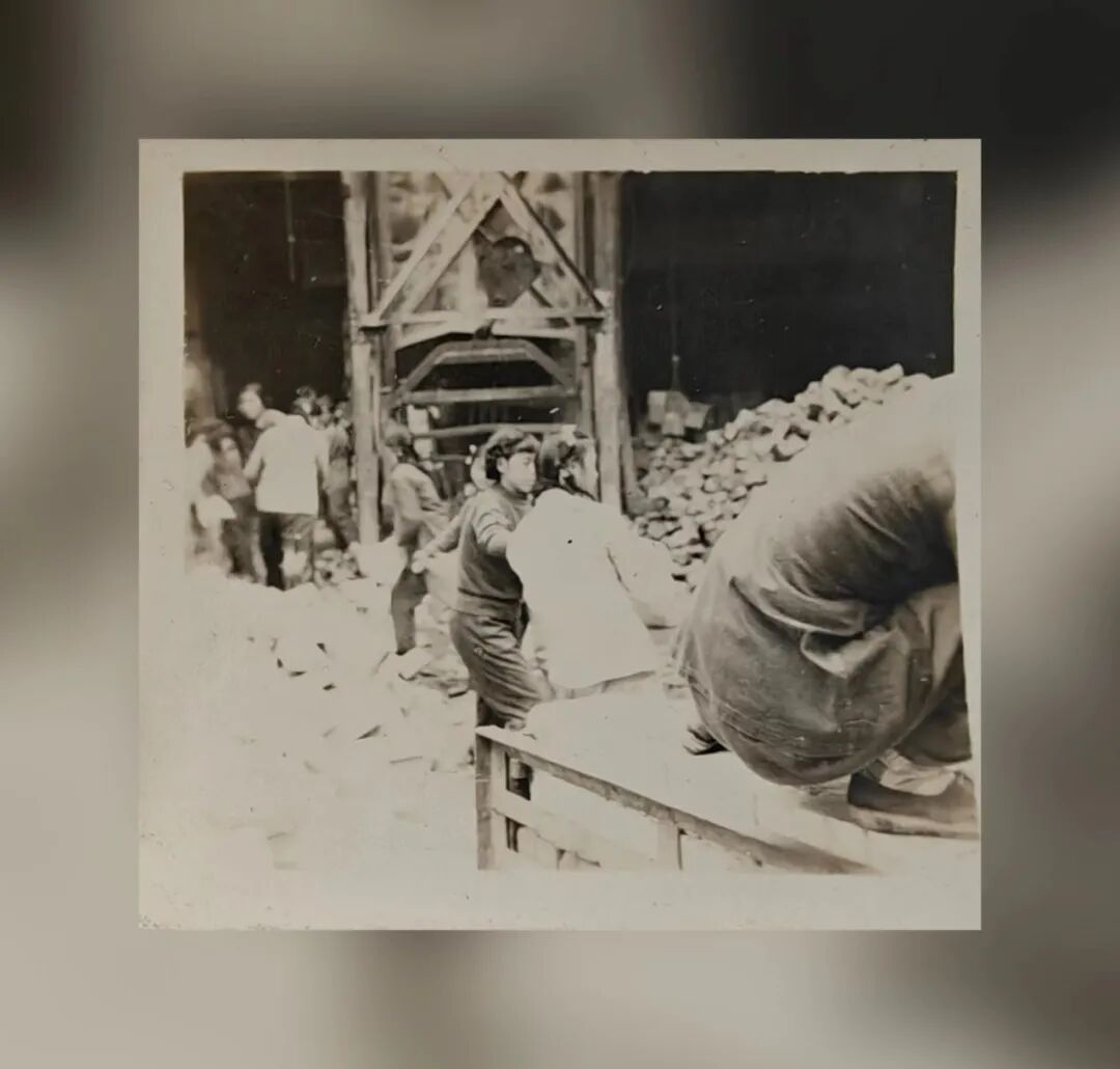 人民公安從這里走來 | 第一代重慶公安教育工作者袁秀琳：莘莘學(xué)子從警路上的“引路人”