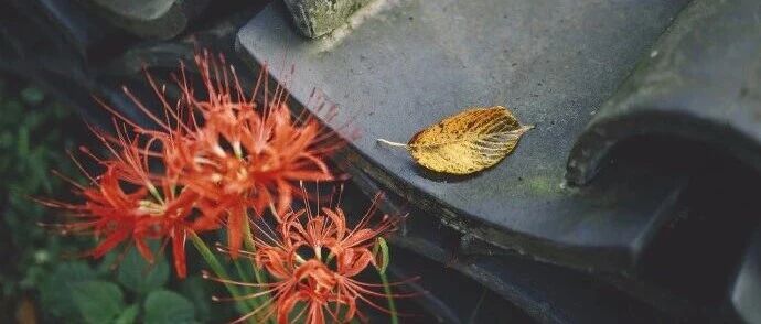 挣钱靠运气，守钱靠认知-2026-01-02号随笔