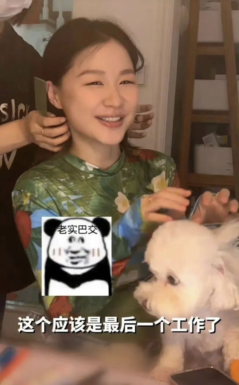 热搜第一！演员金靖宣布停工待产，回应被叫“金天妈妈”：我还是我