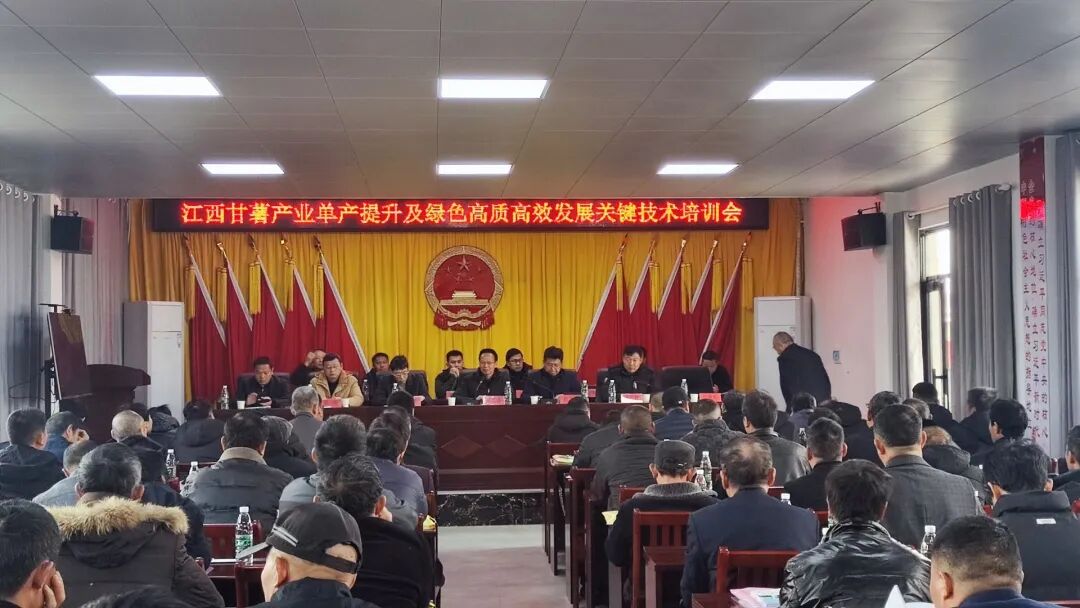 都昌县南峰镇举办江西甘薯产业单产提升及绿色高质高效发展关键技术