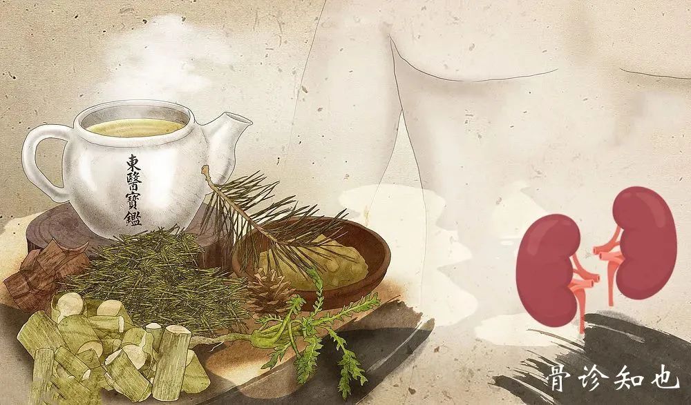 肾主水，乃机体的先天之本，中医对肾作用与认识值得学习！