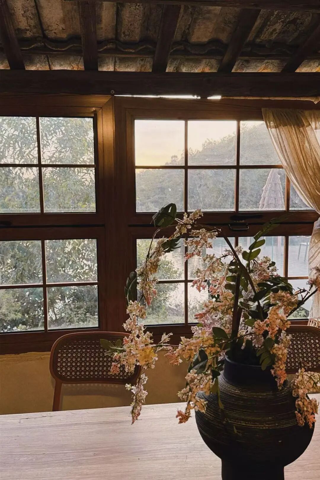 图源：小红书@阿圆啊