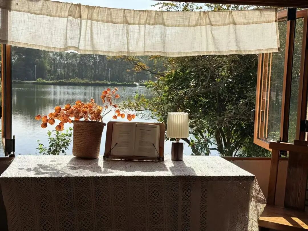 图源：小红书@阿圆啊