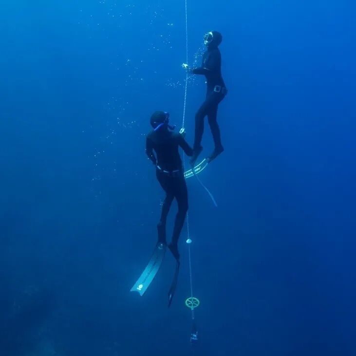 法国蔚蓝海岸｜贴近自然的治愈之旅