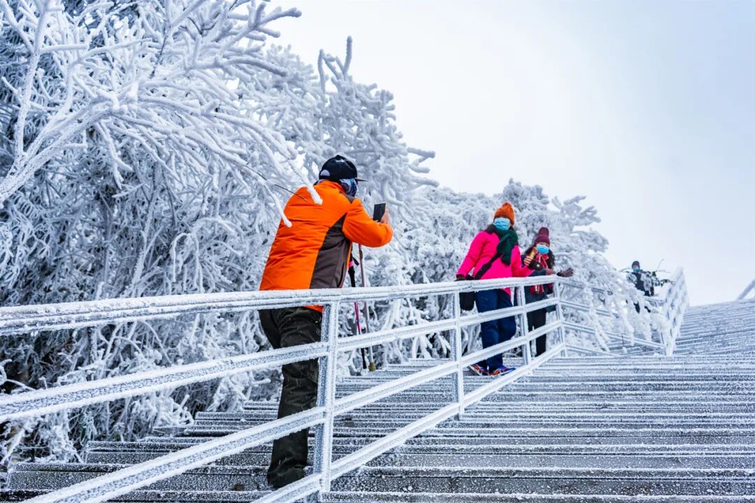 　　2024年1月，游客在金子山景区赏雪。（来源：金子山景区）