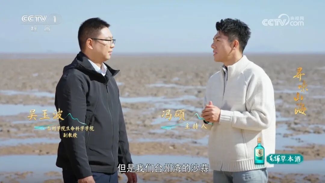 专家2.png