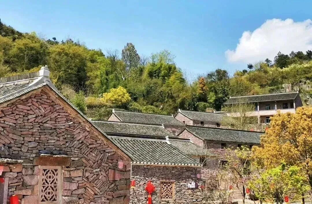 微信图片_2026-03-05_141931_419.jpg