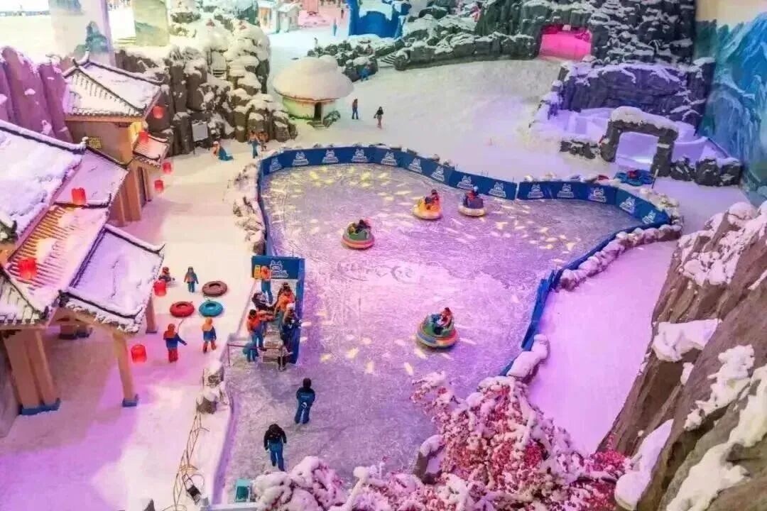 微信图片_2026-03-05_095351_624.jpg