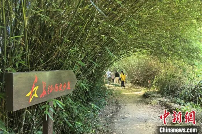 7月16日，游客重走江西赣州于都县祁禄山镇的红军长征小道。吴鹏泉 摄.jpg