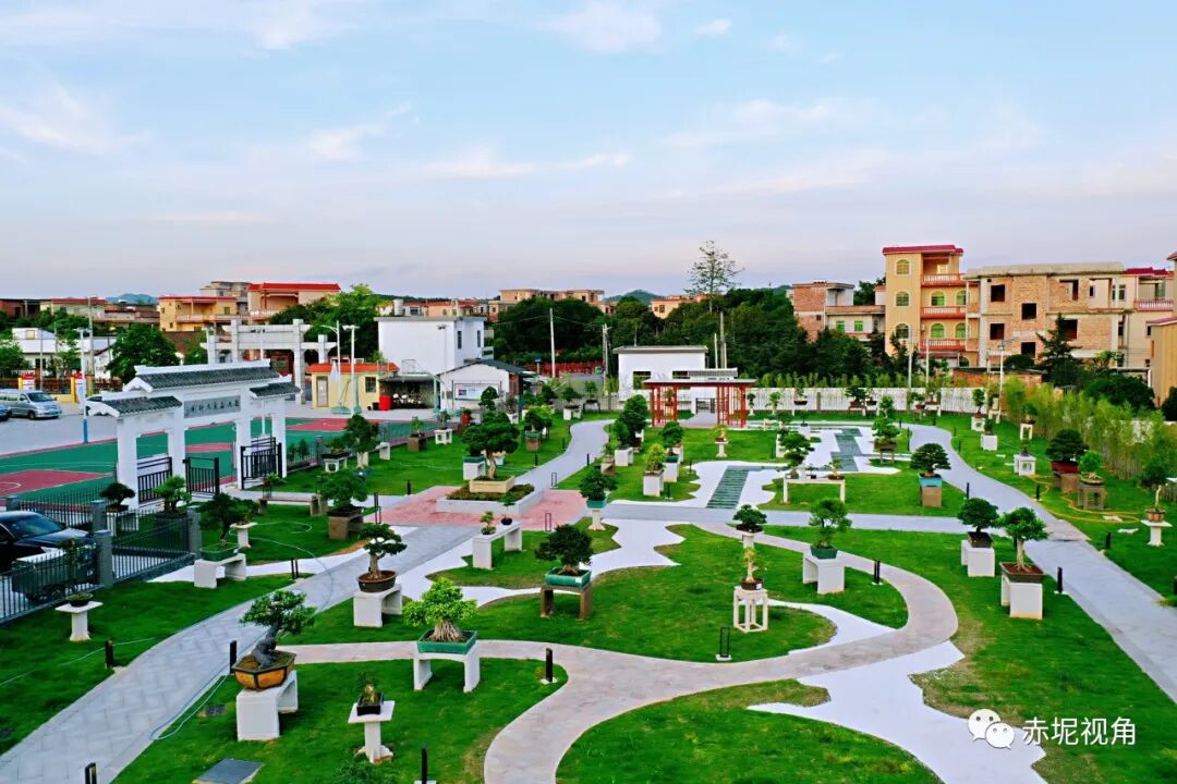 赤坭镇乡村振兴极先锋工作室揭牌群雁齐飞激活富民兴村新动能